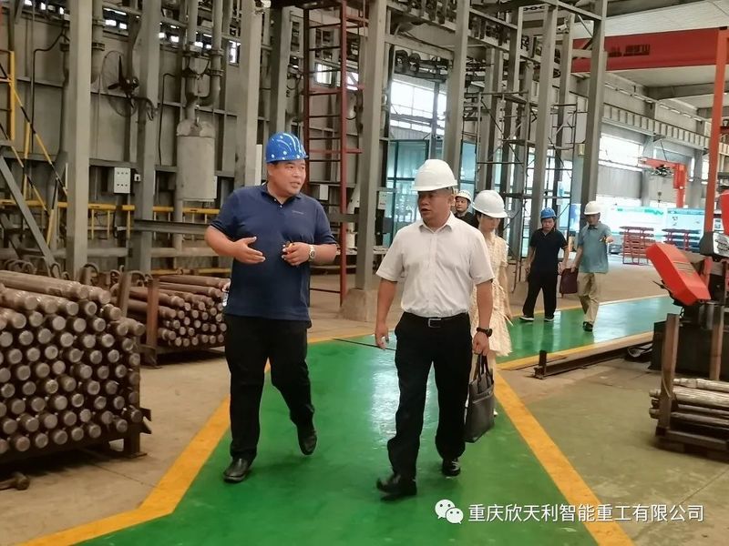 萬州區(qū)市場監(jiān)督管理局賀盛緣局長一行蒞臨我司調(diào)研知識(shí)產(chǎn)權(quán)工作